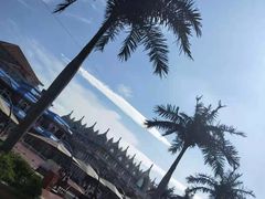 -青岛方特梦幻王国