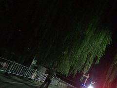 -茯茶镇
