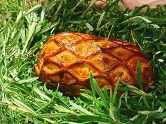 -Le Bistrot de Racine