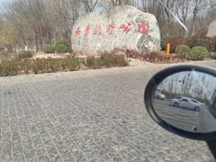 -西青郊野公园