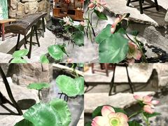 -遇见长安之高山流水(李家村万达店)