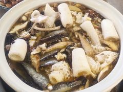 -杨记山珍鸡煲菌汤锅
