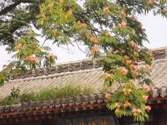 -山西王家大院