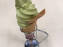 -百利鸽王(紫薇路店)
