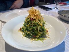 巧拌豆苗-四季民福烤鸭店(王府井灯市口店)