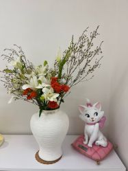 -WENDY·温迪皮肤管理