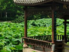 -龙头寺公园