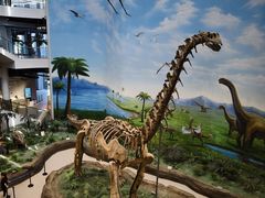 -辽宁古生物博物馆