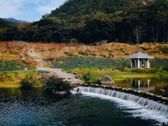 -广州市石门国家森林公园