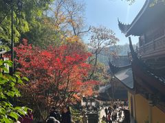 -灵顺寺