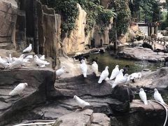 -燕塞湖鸟语林景区