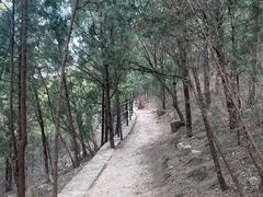 -佛慧山
