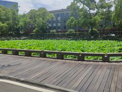 -四川大学(望江校区)