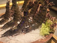 -二刀潮牛(重庆光环购物公园店)