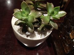 -食肆&Fourteen(武林夜市店)