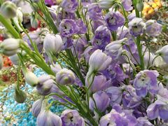 -双季花艺园艺市场(浦东店)