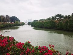 -万绿园