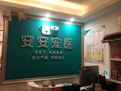 -安安宠医·安宠宠物医院