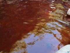 -森波拉火山温泉