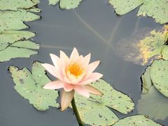 -三亚海棠湾喜来登度假酒店