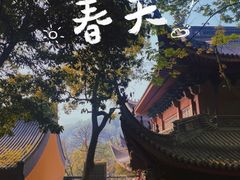 -灵隐飞来峰景区