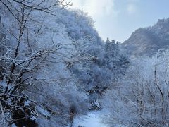-秦岭终南山世界地质公园翠华山景区