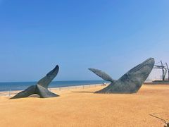 -烟台金沙滩海滨公园