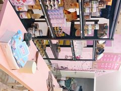 -喵百万·布偶·蓝金金渐层英短·猫舍(百子湾店)
