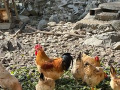 -途中饭店(开化店)