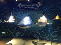 -烟台海昌鲸鲨海洋公园