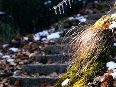 -洛阳白云山景区