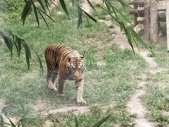 -西安秦岭野生动物园
