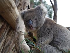 -威勒比开放式动物园