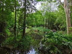 -深圳国际园林花卉博览园