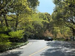 -浙江宾馆·花园餐厅·自助餐厅·茶吧