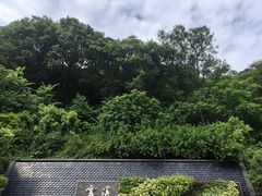 -云溪植物园