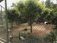 -石家庄市动物园