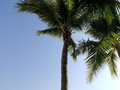 -碧桂园十里银滩