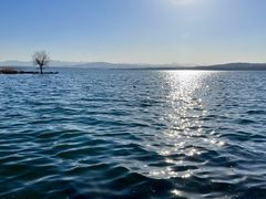 -鲁山国家森林公园