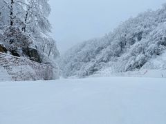 -洛阳伏牛山滑雪场