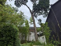 -松江清真寺