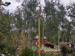 -合肥滨湖国家森林公园