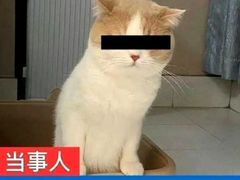 -西贝(武汉群星城店)