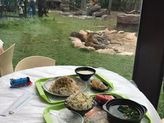 -上海野生动物园老虎餐厅