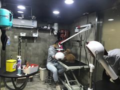 -PETKIT小佩宠物(昭化店)