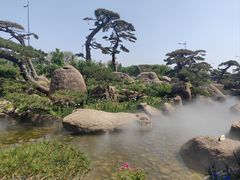 -罗红摄影艺术馆