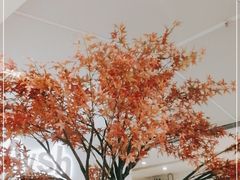 -艾薯夫妇Aysh(福田星河COCOPark店)