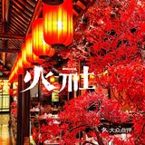 北京首家‼️每天等位700桌！玫瑰丸子太绝