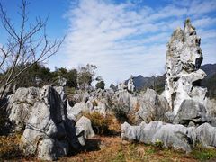 -千岛湖石林