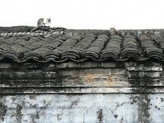 -苏家围·东江画廊旅游景区